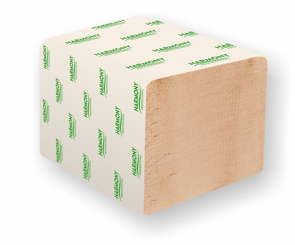 Folded toilet paper Eco Choice